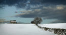 Field barn